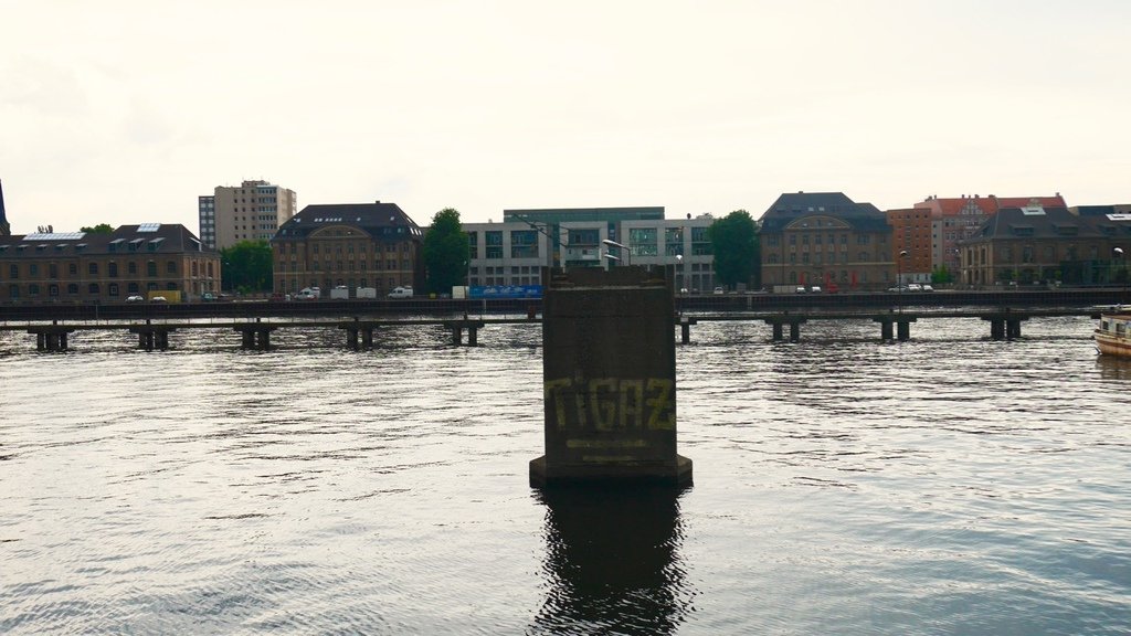 P1080431.jpg