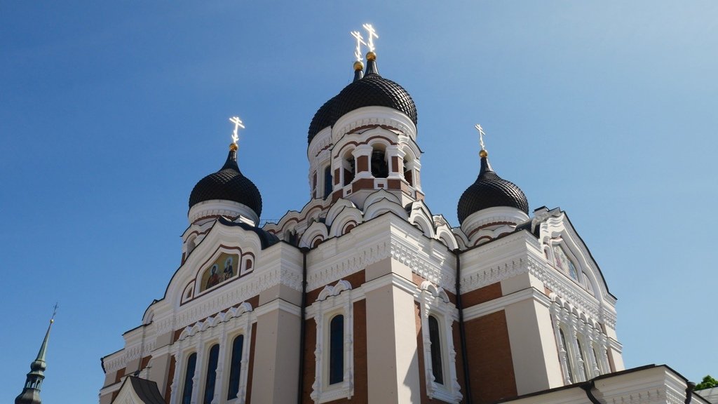 P1070775.jpg
