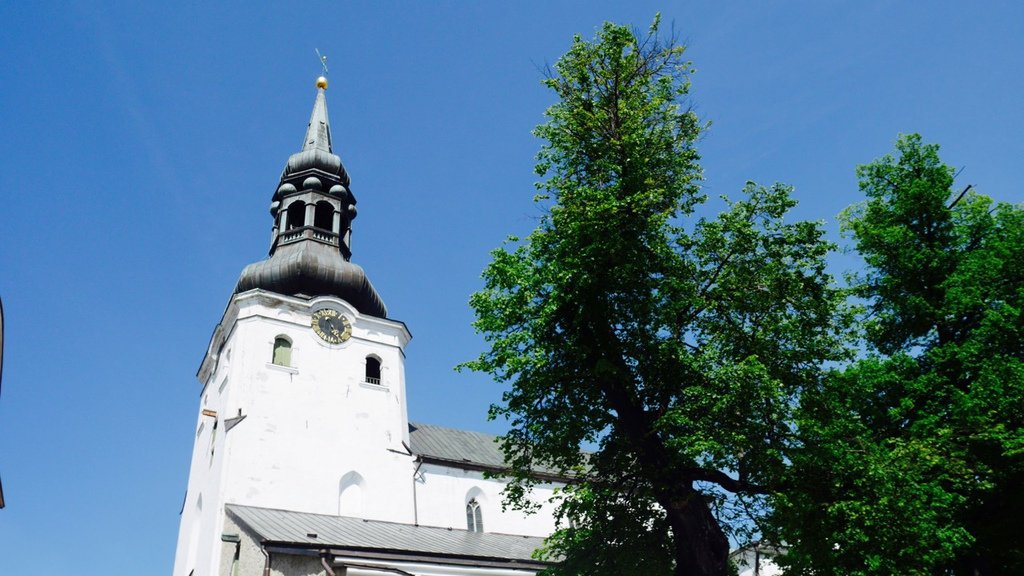 P1070781.jpg