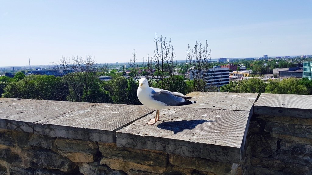 20160524_145208.jpg