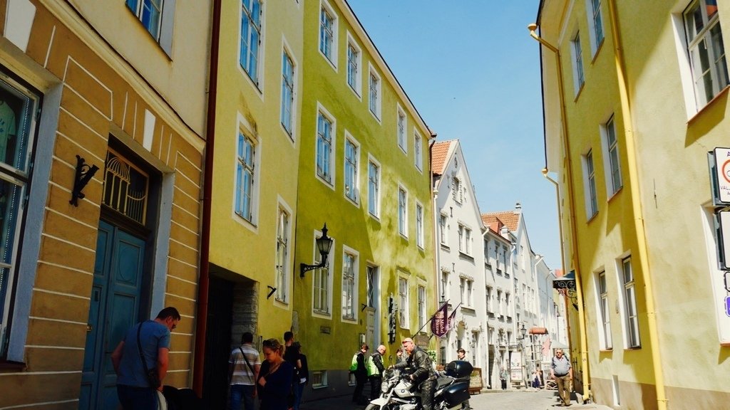 P1070761.jpg