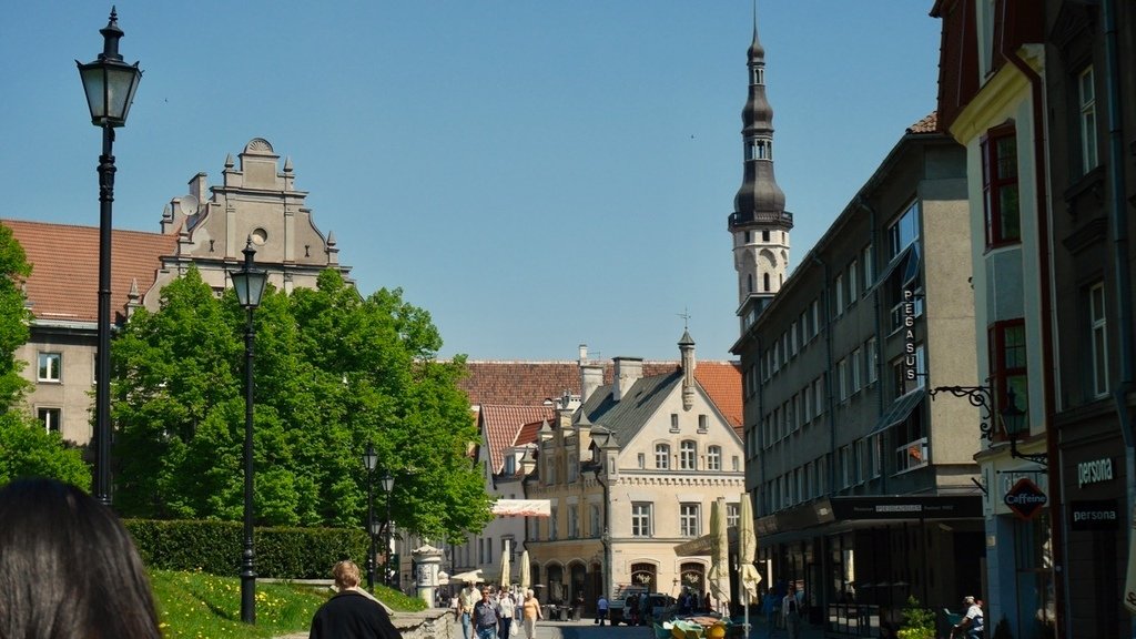 P1070746.jpg