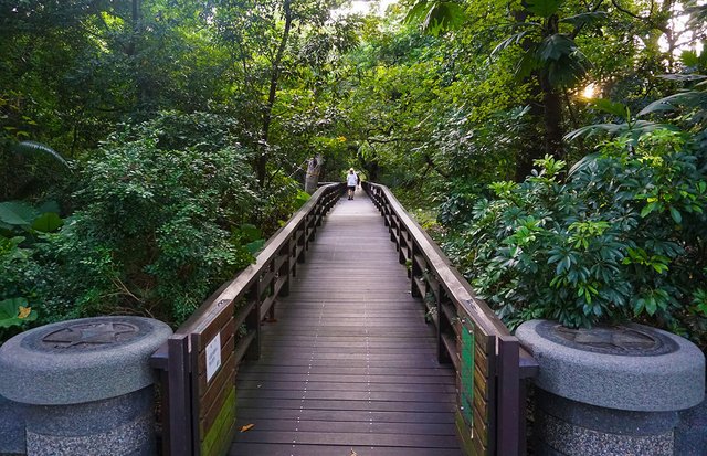 品陽大苑 建案 甲桂林 學府宅 二環捷運站 台北植物園 南門市場 中正紀年堂 歷史博物館 中正區建案 