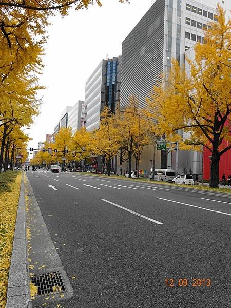 DSC02838.JPG