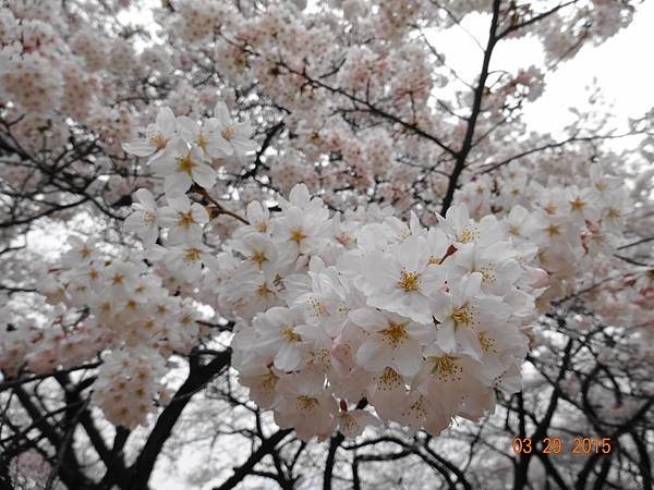 DSC03400.JPG