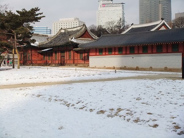 DSCF2563.jpg