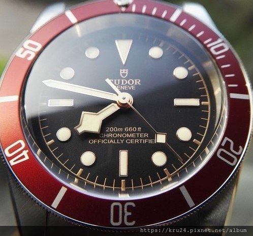 tudor79230r1.jpg