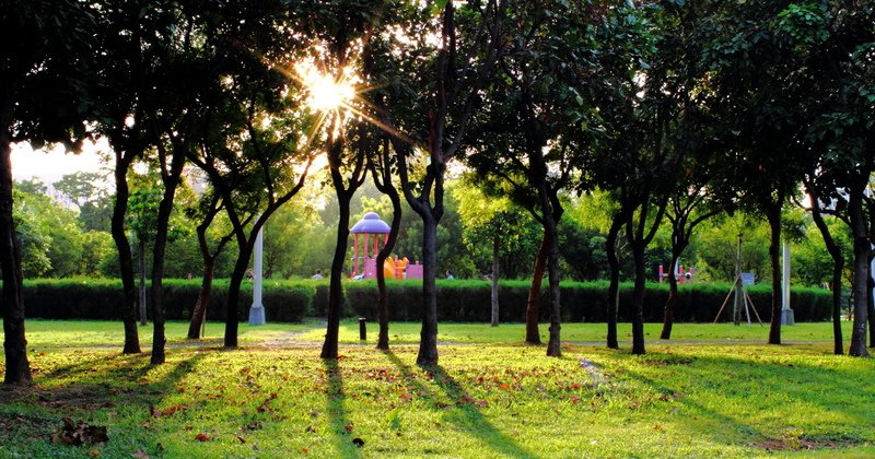 中央公園捷運站隨拍