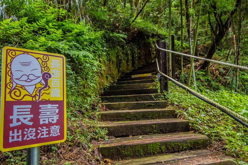 南投旅遊-杉林溪-月老廟