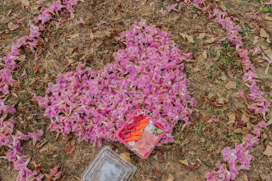 前鎮高中賞花+代天府美食