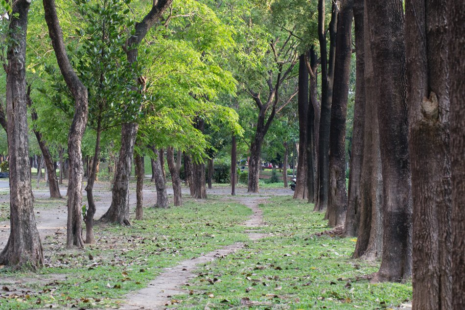 大東濕地公園