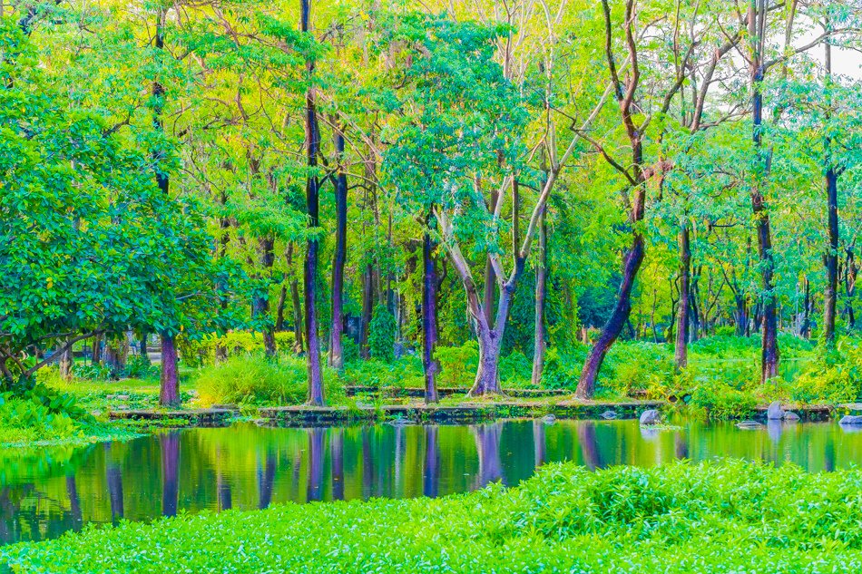 大東濕地公園