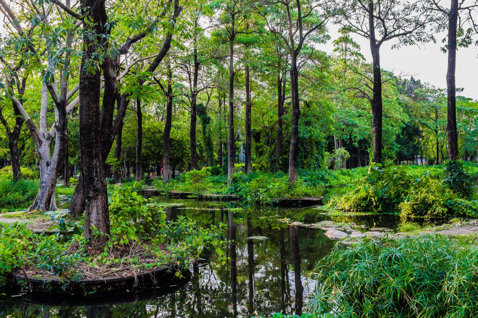 大東濕地公園