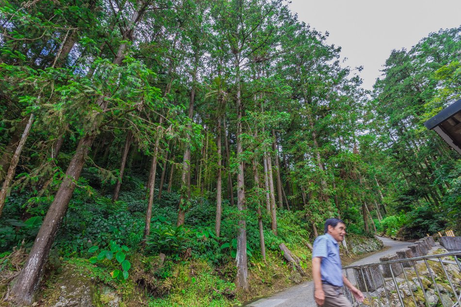 嘉義旅遊 / 富摩咖啡莊園