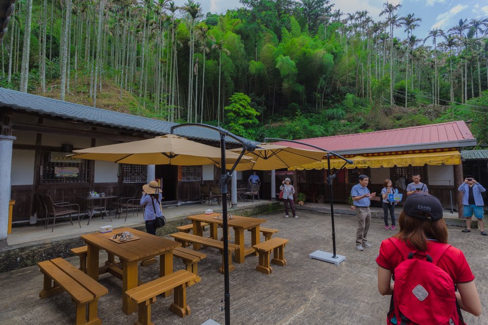 嘉義旅遊 / 富摩咖啡莊園