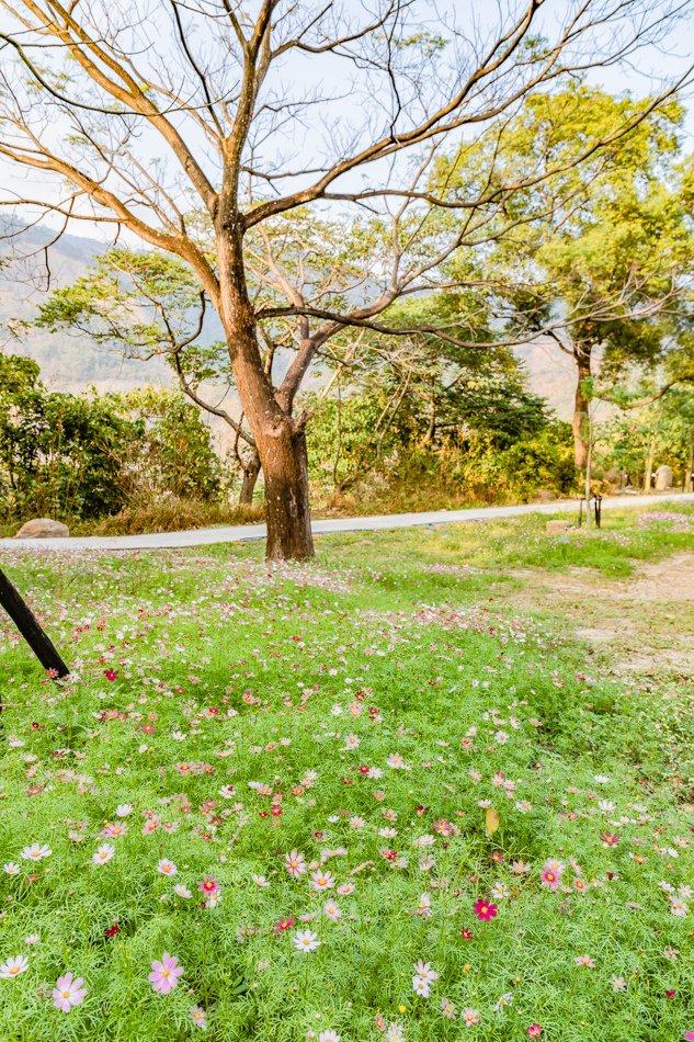 六龜旅遊 - 寶來花賞溫泉公園