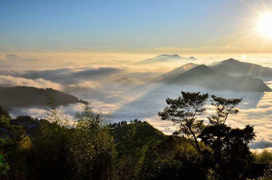 阿里山雲海