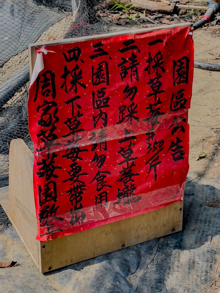 周家草莓園 (6).jpg