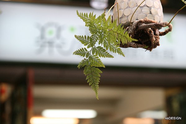 高雄-樂活LOHAS晨間飲食館-店外擺飾