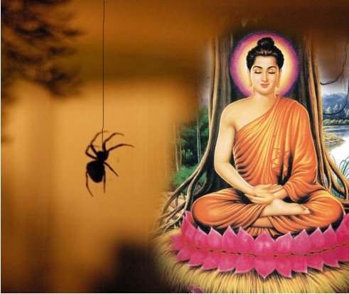 a-fox-spider-and-amitabha-buddha-monument-background_1200x1200.jpg