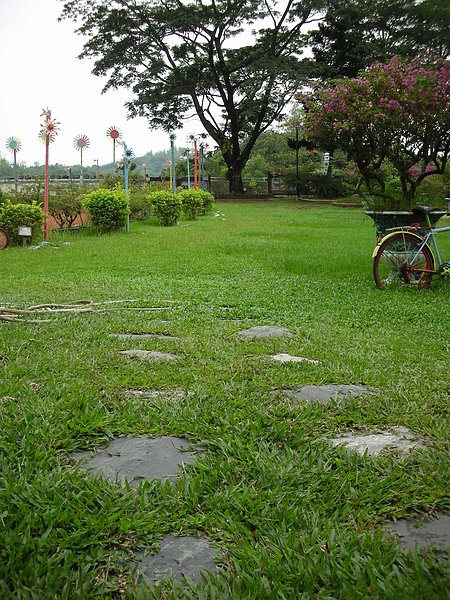 DSCN0972.JPG