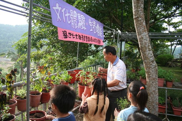 香草植物種植-歡心農場