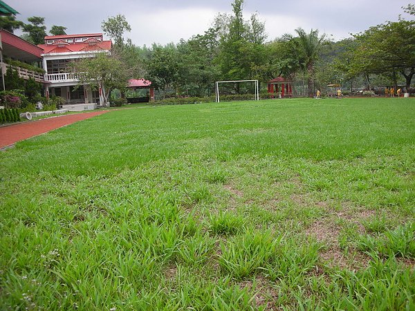 DSCN0973.JPG