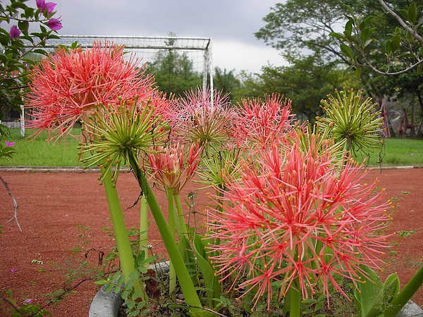 DSCN0975.JPG