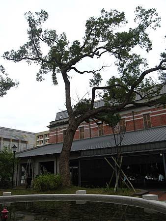 IMG_0083.JPG
