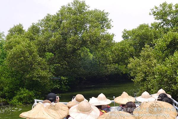 P1180721.JPG