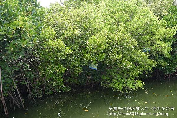 P1180716.JPG