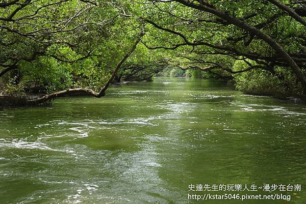 P1180728.JPG
