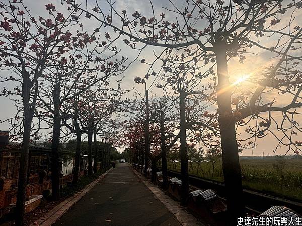 【台南景點】台灣詩路~散步到詩境，走一條非凡的木棉花道@台南