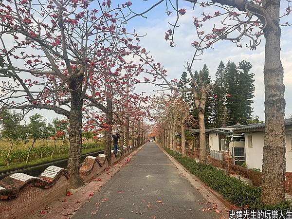 【台南景點】台灣詩路~散步到詩境，走一條非凡的木棉花道@台南