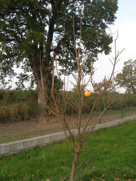DSCN3819.JPG