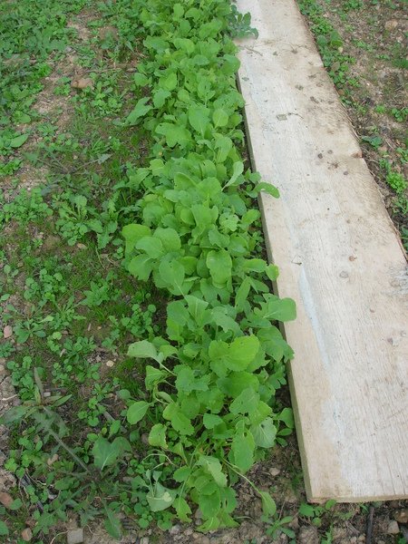 DSCN3822.JPG