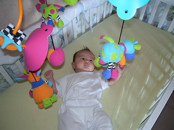 DSCN2870.JPG