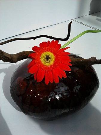 P08-05-11_15.49.jpg