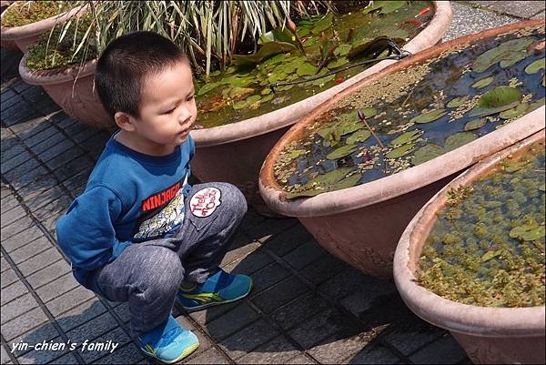 木柵動物園4.JPG