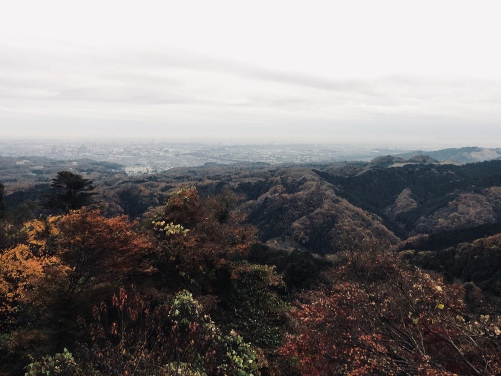 樂天小高國外旅遊-小編小煬。日本｜關東自由行。埼玉、神奈川、