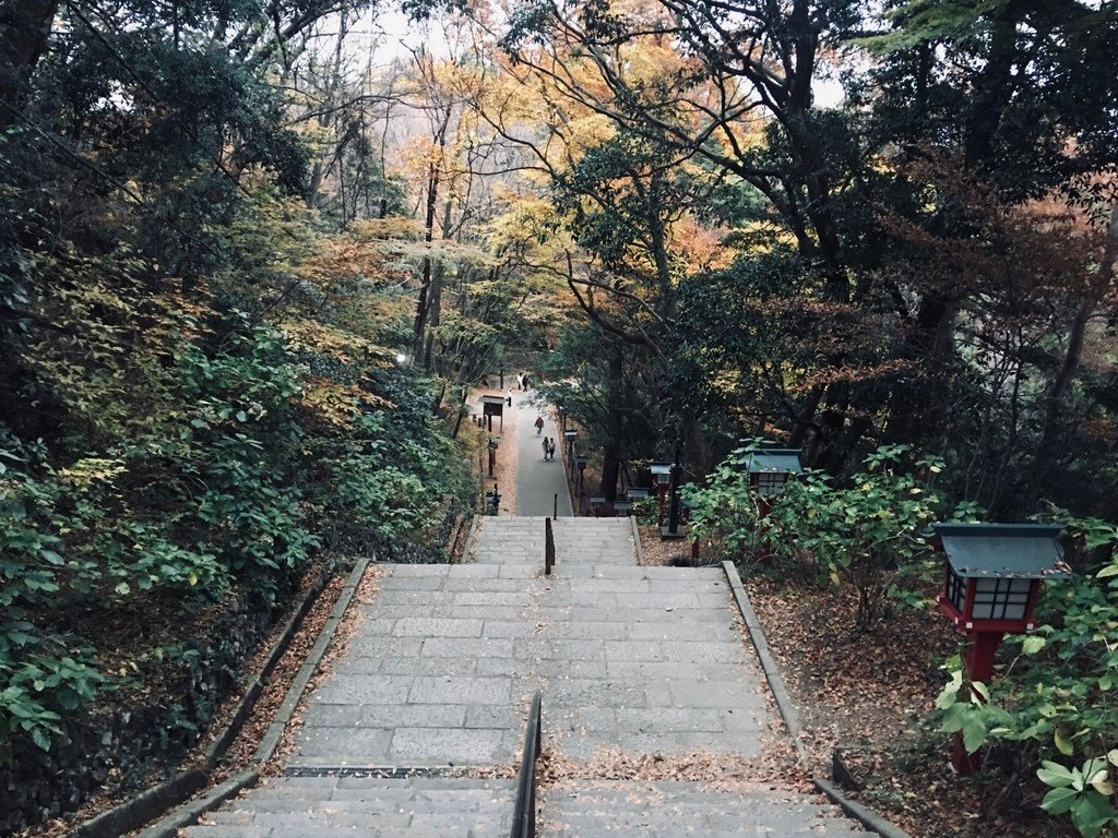 樂天小高國外旅遊-小編小煬。日本｜關東自由行。埼玉、神奈川、