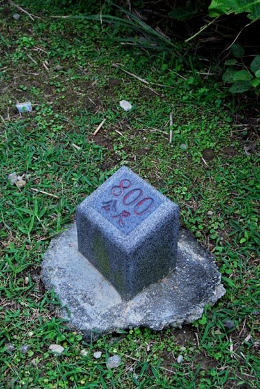 DSC_3150.jpg