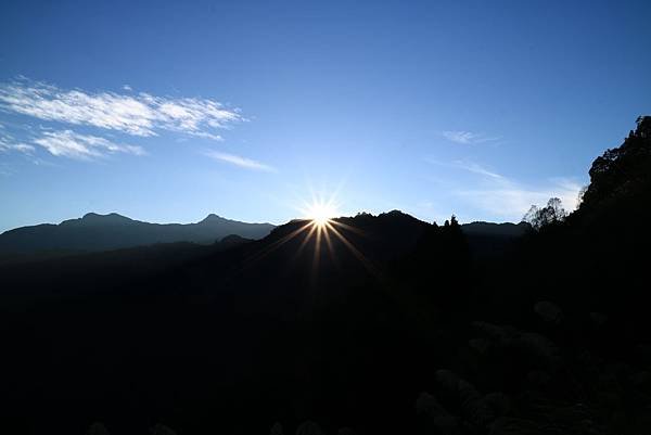 IMG_2254.jpg