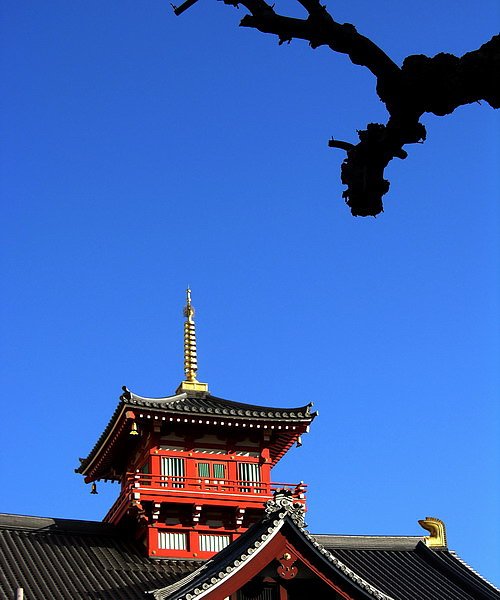 近天王寺.jpg