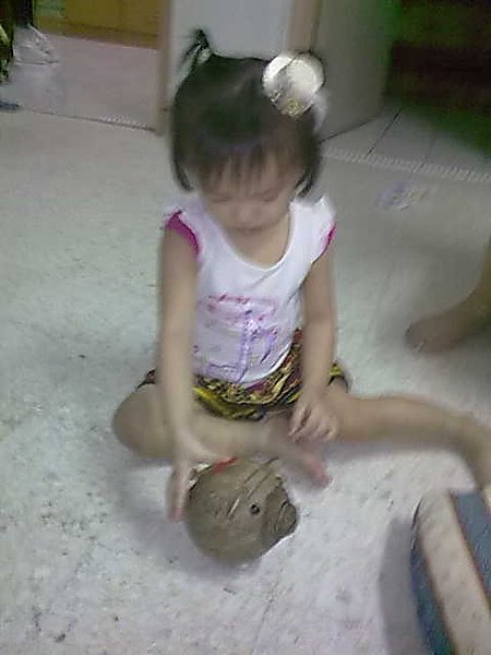 090820101211.jpg