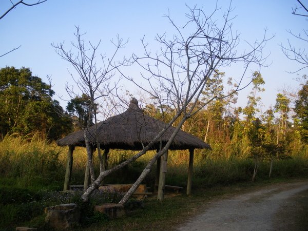 挑米村草南濕地