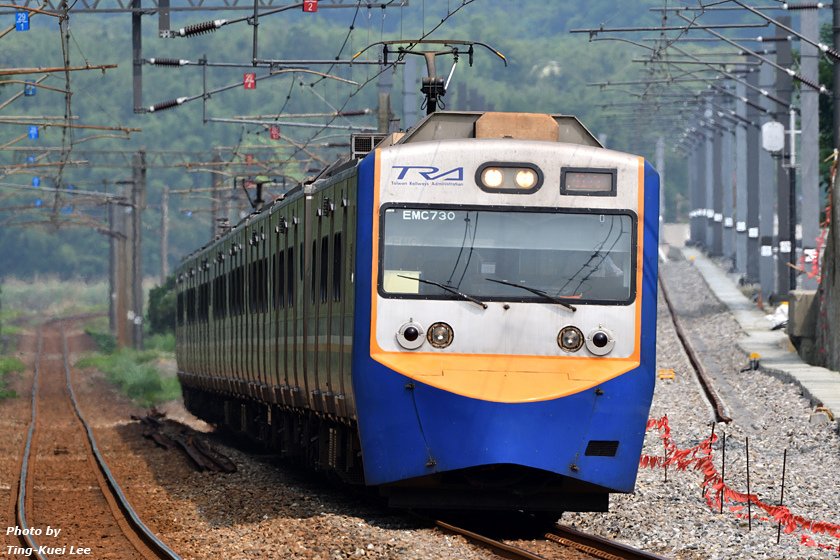 20240414 路總部春之旅出草活動