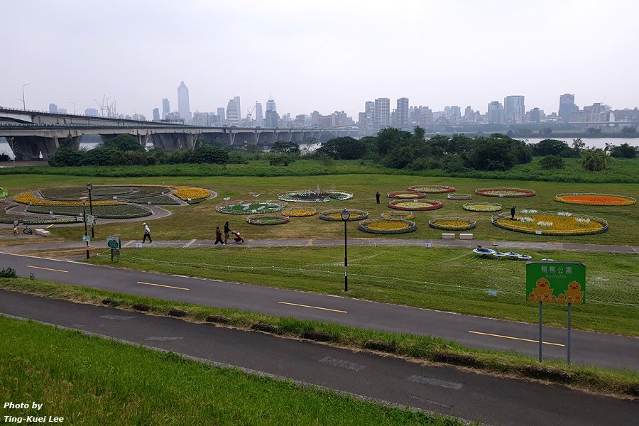 20241214 2024新北鴨鴨公園地景藝術展