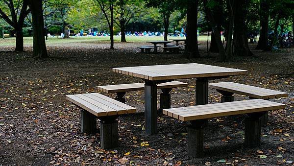 Modify-06098.jpg