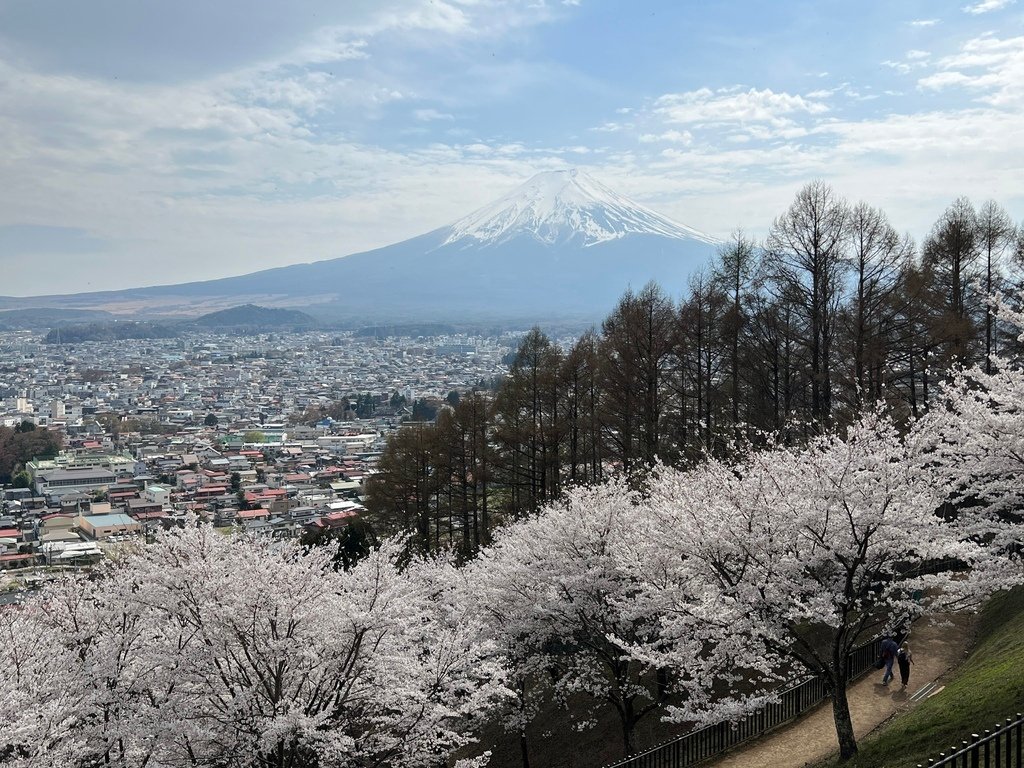 【2023東京】坐富士回遊和富士山的近距離接觸